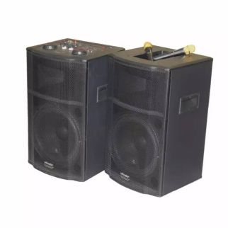 Тонколона караоке PASAT DS-6015 комплект